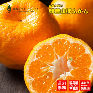 |J a̎R ωR ťO Ai 10kg ωRt[cK[f 