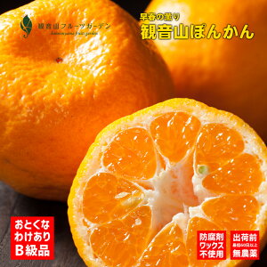 |J a̎R ωR ĂΖ 󂠂Bi 5kg ωRt[cK[f 