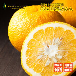 夏みかんの人気商品 通販 価格比較 価格 Com
