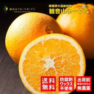 l[u a̎R ωR Iml[u Ii 15 ωRt[cK[f 