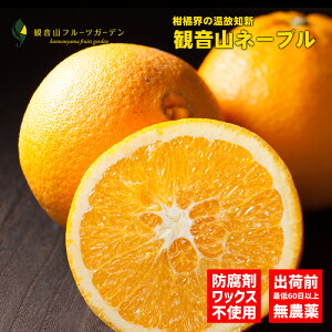 l[u a̎R ωR Iml[u Ai 1kg ωRt[cK[f