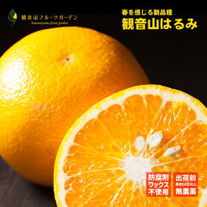 ͂ ₩ Ai 6kg a̎R ωRt[cK[f 