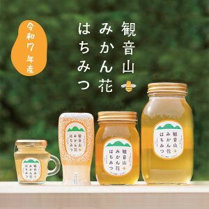 I ݂񐶂݂͂ ߘa7NY [nj[ 130g tr ωRt[cK[f