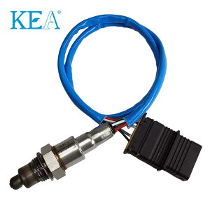 yGg[Ń|Cg2{zKEA O2ZT[ 2BM-203 ~j Nu}  F54 p 11788604889