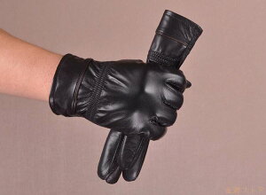  Y U[ v lC V v  Y U[ vO[u oCN O[u v  Y U[ h ۉQ oCNO[u  Y U[ ~p ނ am 