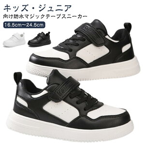 LbY Xj[J[ h ̎q j̎q q C V[Y [Jbg ɂ q ʊwC WjA  j hXj[J[ }WbNe[v 16.5cm`24.5cm wZ w w ₷ 