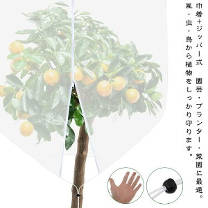 hlbg AیJo[ |؍͔| hlbg t@Xi[t Aی ؖ ؍͔| |plbg hV[g h ؉ x_ DIY ʎ ݂ v^[  