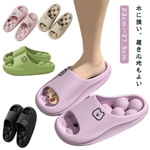 Xbp NT_ fB[X Y jp Xbp  }bT[W T_  O [V[Y V[T_ C EVAf h É y K 