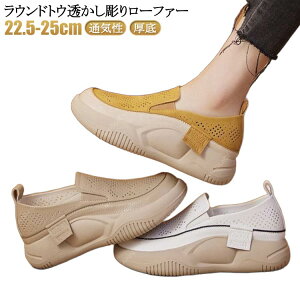 pvX EhgD胍[t@[[fBXV[Y JWAV[Y fB[X RȂ Xj[J[ fB[X Xb| bV  Xj[J[ i[XV[Y O