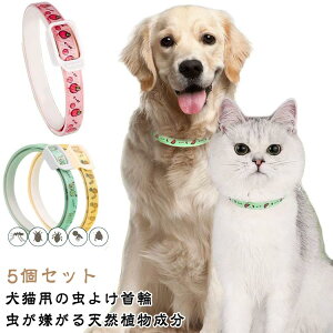 Lp SobN  m~ 񐶒悯 5Zbg Lp VR 悯 m~ TCY߉\ h S ybgh p \h p ɂȂ 悯 h iC