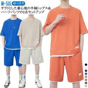 ㉺Zbg n[tpc 2_Zbg Y   fB[X ĕ Zp TVc EH[LO btn X|[cEFA [EFA Zn jO iCgEFA t