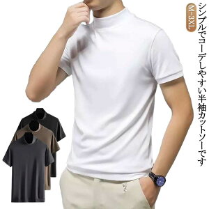 StEFA nClbN TVc Y  n gbvX Jbg\[ X|[c eB[Vc bNlbN JWA jO W ^ 傫TCY 