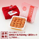 【送料無料】母の日限定ギフト“紀州五十五万石500g+造花セット”【楽ギフ_包装】【楽ギフ_のし】【楽ギフ_のし宛書】