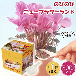 _^ ݌Ɍ L@엿 A  ϗtA  A  h{ y { ̂т̂уj[t[h 500g