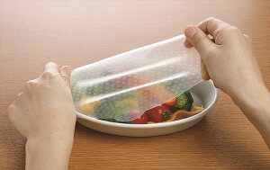 XP[^[ VRbv JԂg ی^ 2 H@Ok ϕOK z GR SLRA11 Lb`pi  Lb`G