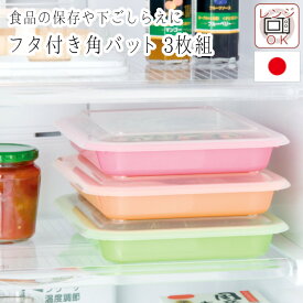 角バット キッチン 揚げ物 調理 バット 蓋付き 蓋 フタ ふた トレー トレイ 保存容器 食品 食材 保存 作り置き 下ごしらえ レンジ 冷蔵庫 プラスチック スタッキング キッチン用品 調理器具 調理道具 【ラッピング対象外】