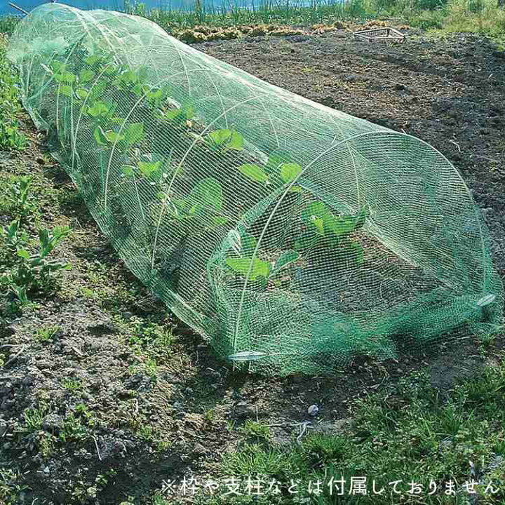 楽天市場】防鳥ネット 鳥よけネット ふわっと蝶鳥 2×10m 家庭菜園 