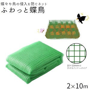 hlbg 悯lbg ӂƒ 2×10m ƒ؉ K[fjO |pi
