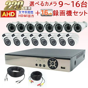 hƃJ O 220fAHDJ Iׂ9`16Zbg SONY STARVIS CMOSgp d+f2{̃P[utłȂ̊ȒPڑ ]̃AiOJ͉\ X}zł񂽂񉓊u