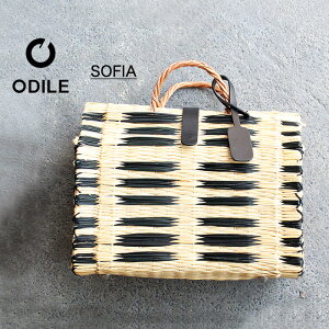 obO  V_[ oXPbg V_[obO A4 fB[X 킢  y t JS JSobO g[gobO IfB[ JSobO ODIEL SOFIA