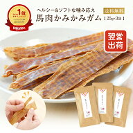 【6/4 20:00〜6/11 01:59までSALE】犬 おやつ 無添加 国産 馬肉 かみかみ ガム 犬 ガム 25g×3袋 ドッグ…