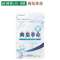 楽天市場】乳酸菌革命 送料無料の通販 