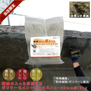 y|Cg2{I10/17()9:59z@ۂ̓hp|}[Zg^i10`50mmj5kg _Ȃ ڂꗎȂ @\^ C fʏC