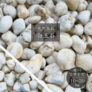 yP2{ 9/4()20:00`zIׂ2TCYIVRʐ10~20kg@ʐ (5/1)@ K[fjO K[fXg[   VR a m hCK[f bNK[f r 
