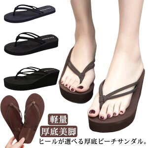 ɂȂ  r C W[p ^Ep gOT_ q[ y p ₷ r[T fB[X r[`T_  傫TCY 킢  y ~ 