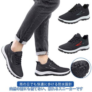 Y h Xj[J[ J  y Jp jp hV[Y  䕗 ʋ ʊw EH[LOV[Y i JWAV[Y ^C WMO  24.5`27cm t  H ~