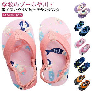 LbY xr[ r[`T_ ̎q j̎q ƕt St T_ V V }V[Y  p C r[`V[Y  Eɂ ct ۈ牀 2 3 