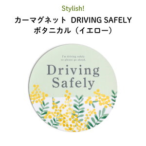 }Olbg S^] Driving Safely gȃ{^jJ CG[fUCh S ԕ VjAhCo[ S^] ^]h~  ^ hR J[XebJ[  { 