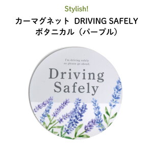 }Olbg S^] Driving Safely gȃ{^jJ p[vfUCh S ԕ VjAhCo[ S^] ^]h~  ^ hR J[XebJ[  { 