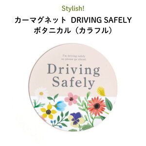 }Olbg S^] Driving Safely gȃ{^jJ JtfUCh S ԕ VjAhCo[ S^] ^]h~  ^ hR J[XebJ[  { 