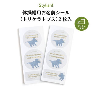 Stylish! ̑XpOV[ _Ci\[igPgvXj2i   O KIDS LbY q  ۈ牀 ct ̑ Xq ̑X J[X ACڒ ڈ }C}[N 