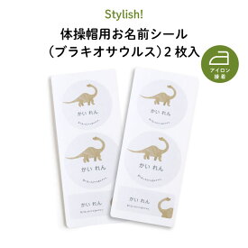 Stylish! 体操帽用お名前シール ダイナソー（ブラキオサウルス）2枚入（ 恐竜 動物 お名前 KIDS キッズ 子供 名入れ 保育園 幼稚園 体操服 帽子 体操帽 カラー帽 アイロン接着 目印 マイマーク ワッペン ギフト プレゼント 男の子 女の子 ）