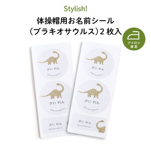 Stylish! ̑XpOV[ _Ci\[iuLITEXj2i   O KIDS LbY q  ۈ牀 ct ̑ Xq ̑X J[X ACڒ ڈ }C}[N 