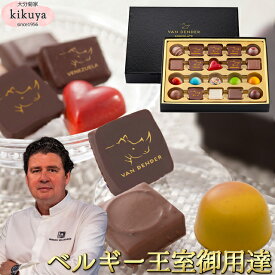 バレンタイン 2026 【菊家公式】 │ VAN DENDER プラリネショコラ 20個入 【常温便】【▲冷凍同梱不可▲】 │ バレンタイン チョコ チョコレート ヴァンデンダー ベルギー 義理 本命 個包装 高級 かっこいい スイーツ ギフト 【vd2026】