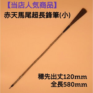 |Cg5{{ȃN[|s  M ㋉ w ԓV NMijx  NM M ѕM ԓV i | ptH[}X |ptH[}X ptH[}