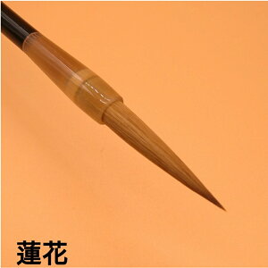  M ȁw@ԁx ѕM C^`ѕM  1{  i ₷ ₷M  ߏi IXX IXXi e Vj