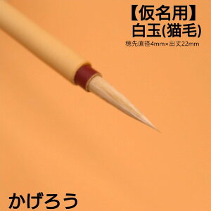 |Cg5{{ȃN[|s  M M w낤x nƊ12NeĐ   M ѕM L ȕM  1{  ʖѕM  ÕM Տ i ₷ 