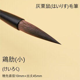 1本から【送料無料】『雞肋』(小) 創業寛文12年菊屋監製 書 書道 筆 毛筆 灰栗鼠毛 灰栗鼠毛筆 半紙 お稽古 書きやすい 書きやすい筆 おすすめ おすすめ商品 オススメ オススメ商品