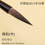 ≪クーポン有り≫ 書道 筆 『雞肋』(中) 書 毛筆 灰栗鼠毛 灰栗鼠毛筆 条幅 作品製作 書きやすい 書きや…
