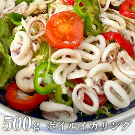 ＼SS期間限定30%OFF／ ボイル ヤリイカ イカリング やりいか イカ 500g おつまみ いか 海鮮 グルメ 冷凍 食品 惣菜 業務用 ゆで 茹で から揚げ 釣り 冷凍いか 冷凍イカ BBQ 自宅用 つまみ 酒の肴 実用的 烏賊 学園祭 冷凍食品 食材 弁当 おかず サラダ 美味しい 訳あり