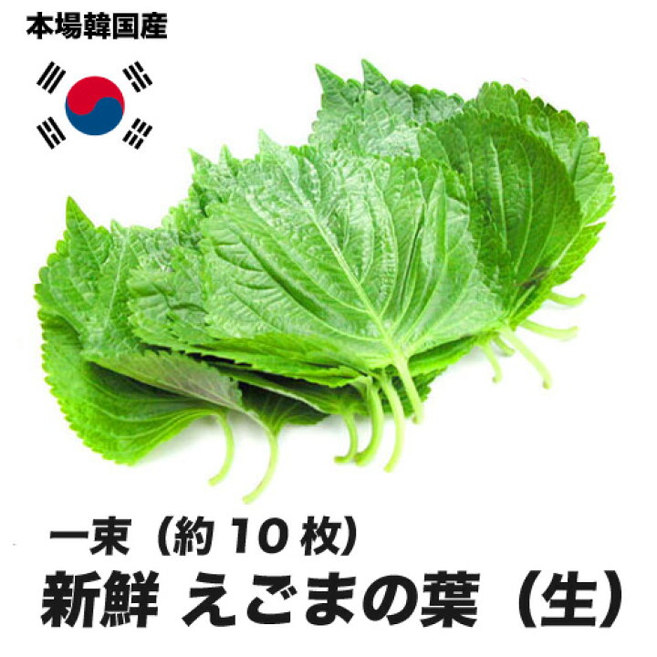 楽天市場 えごまの葉 生 韓国産 一束 約10枚 エゴマ 韓国食材 韓国野菜 お取り寄せ コリアタウンキムチ亭