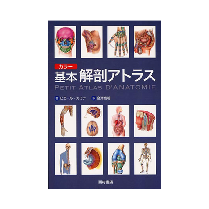 楽天市場】カラー基本解剖アトラス 送料無料 キャンペーン : 筋肉家