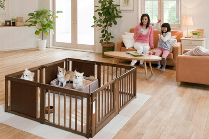 楽天市場】kiinus(キーヌス) [ ペットサークル F 45 XL ] 小型犬用  