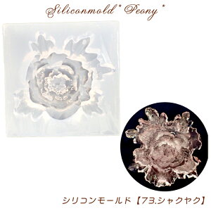 MAX20%ItN[|VR[hy73.VNNzty1zWg ċx VR 䉖 Ⴍ₭ ԃq}  NA Lbg  nhCh DIY 