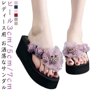 y  C gOT_ ₷ fB[X n T_ {T_ q[ ^Ep ̎q W[p p  Sn  킢 y ~ T_ r[