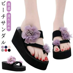 C r  ~ Sn fB[X T_ [q[ Ȃ   y t[ ԏ nCq[ { r[T T_ ؂ ̎q  킢 y 